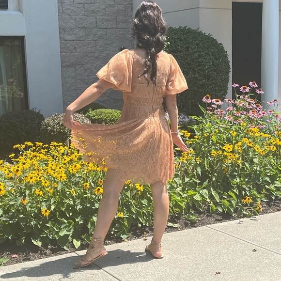 Jonathan Simkhai Bristol Mini Dress Bristol Mini Dress In Butterscotch - Picture 16 of 16